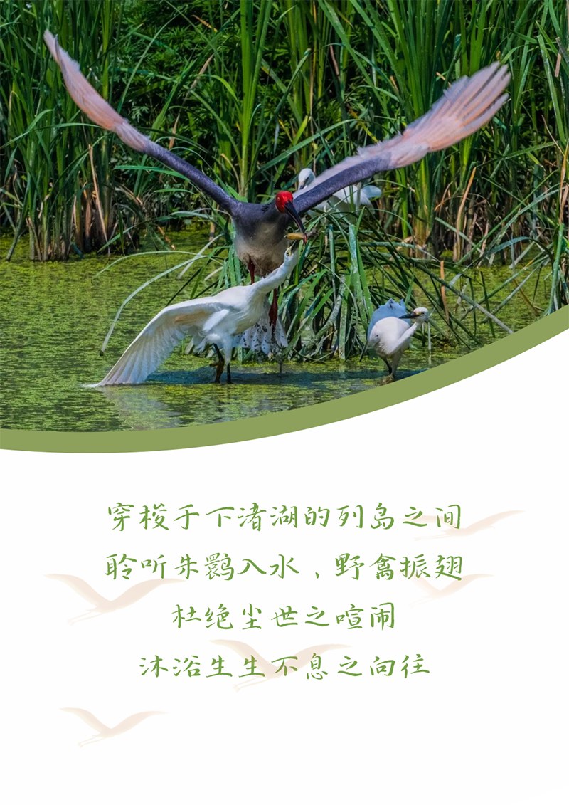 心心念廿 相伴创世大发 | 与德清相约 贺廿载诞辰